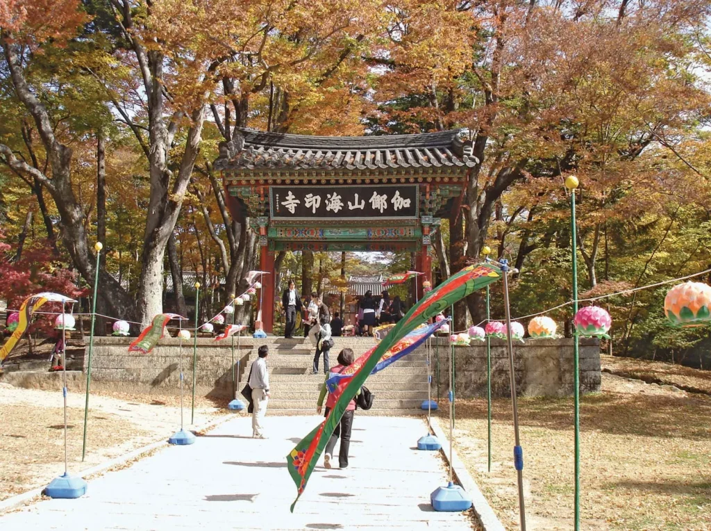 Introduction to Taegu-Jikhalsi